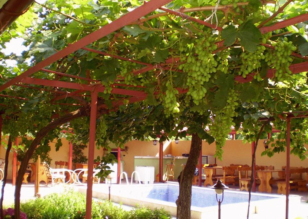 Guest House Yavorov 체르노모레츠 외부 사진